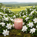 Secret Love | Candle 10oz | Frosted Pink Swirl